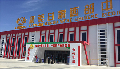 中国（甘肃）中医药工业展览会室外龙门形象